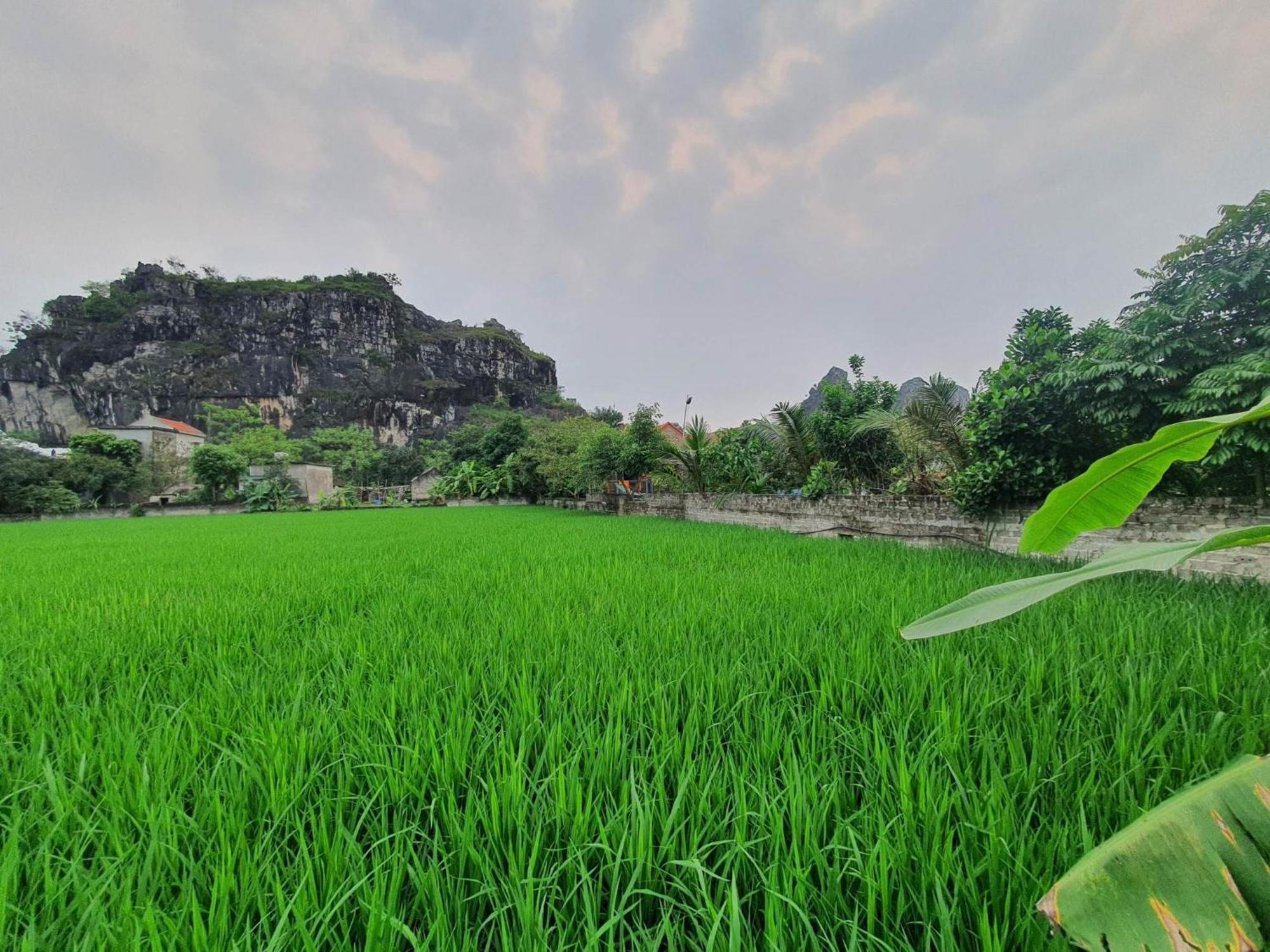Trang An Garden Bungalow Ninh Binh Exterior photo